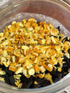 Bergamot Saffron & Orange Oud – Bakhoor Incense, Sweet Orange Peel, Leathery Real Oud, No Synthetic